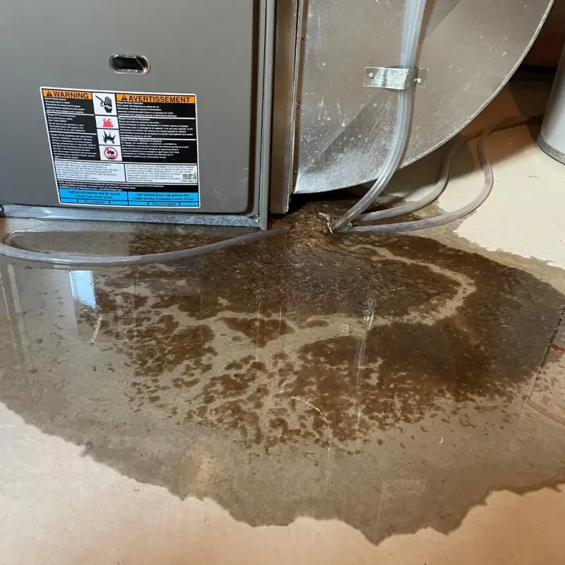 Appliance Leak Cleanup in Hiawassee, GA